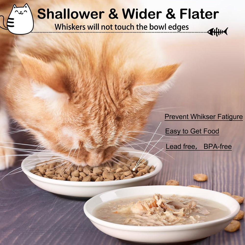 Conjunto de 3 platos ligeros para gatos.