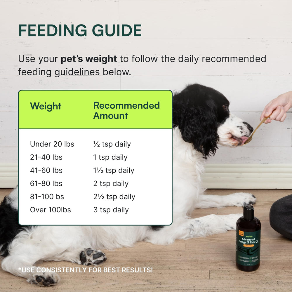 Apoyo al sistema inmune canino con omega-3 de Wuffes.