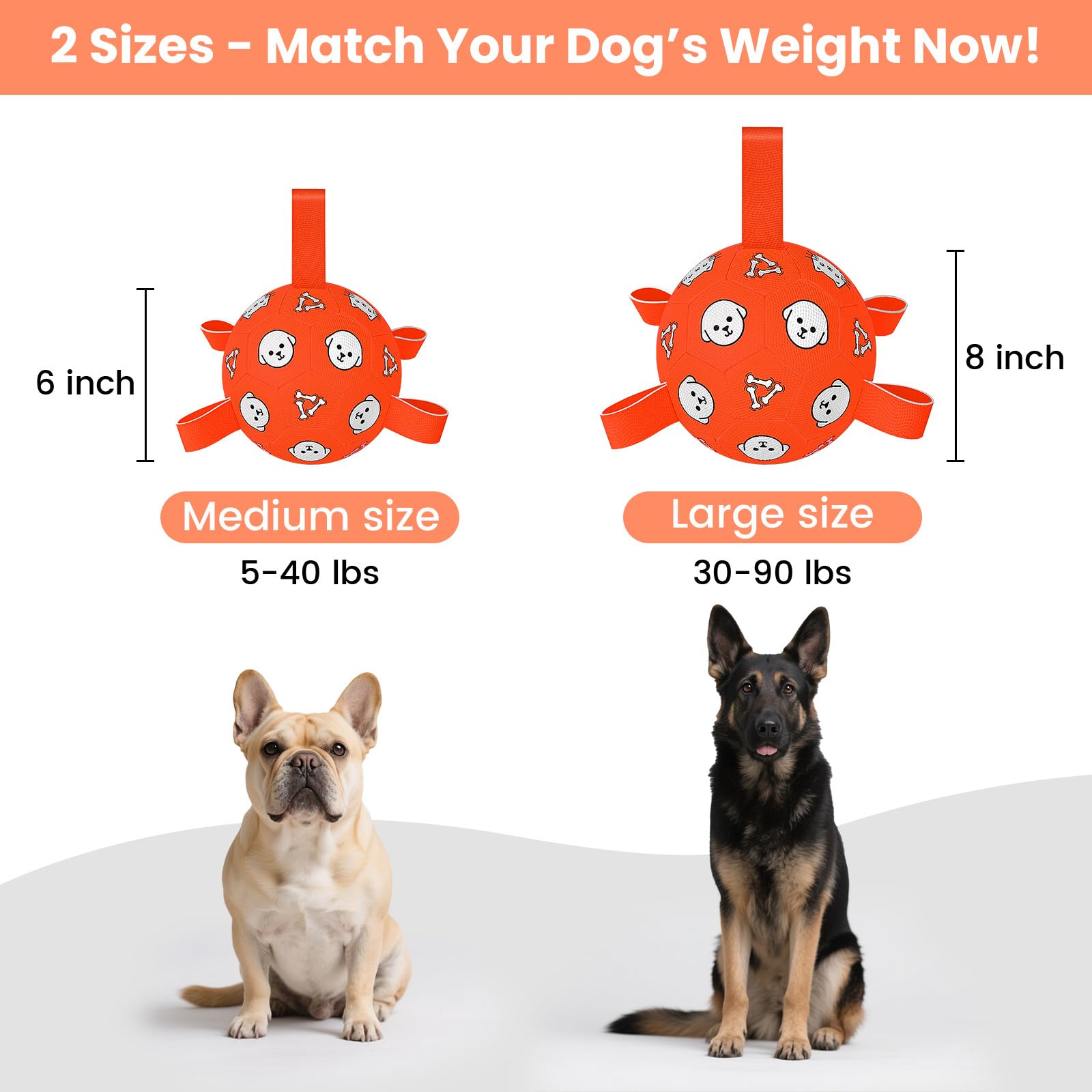 Balón Wyntrium para perros en colores vibrantes que captan la atención.