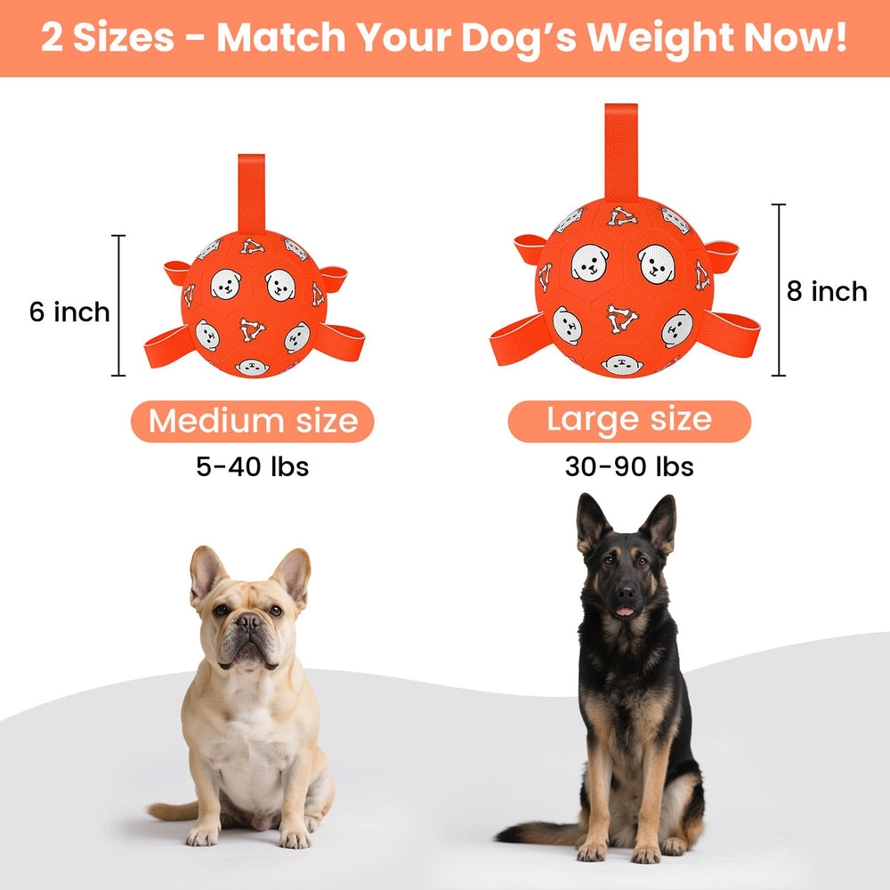 Balón Wyntrium para perros en colores vibrantes que captan la atención.