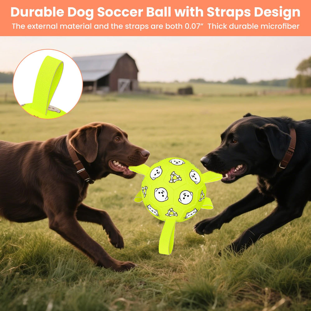 Pelota WYNTRIUM para perros, flotante para uso en agua