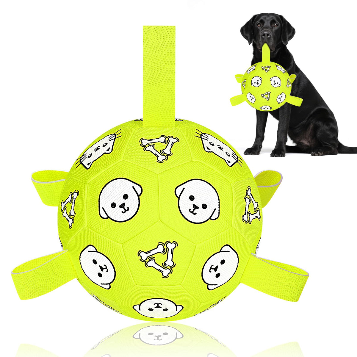 Pelota WYNTRIUM de 8 pulgadas con correas para juego familiar y agarre cómodo