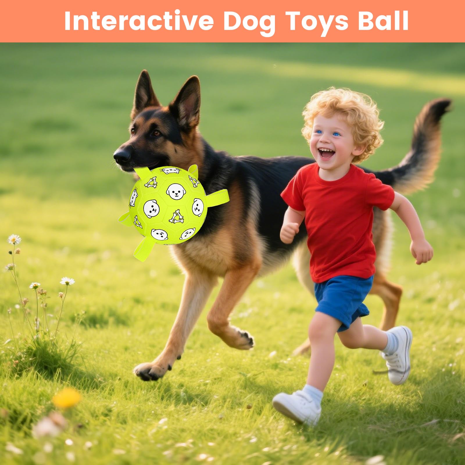 Regalo ideal para perros grandes: pelota WYNTRIUM para cumpleaños