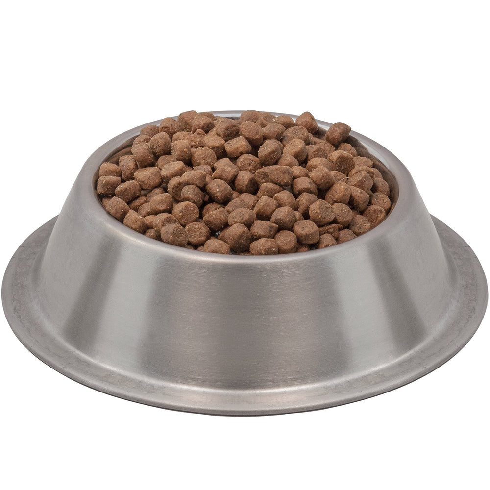 Croquetas de Wysong Senior en primer plano, palatabilidad para perros mayores.