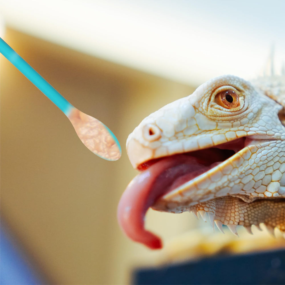 Accesorio Xelsluthe para alimentación de reptiles, usos múltiples