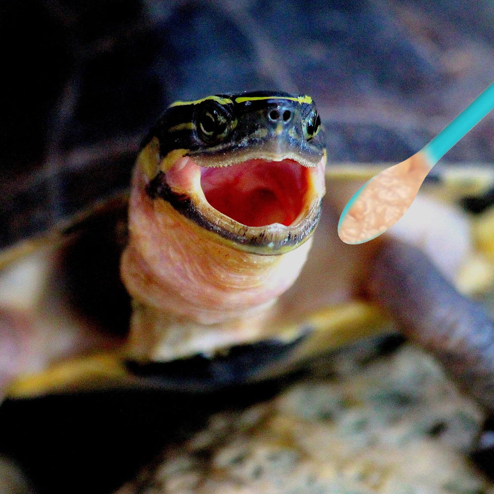 Xelsluthe, limpieza fácil tras la comida