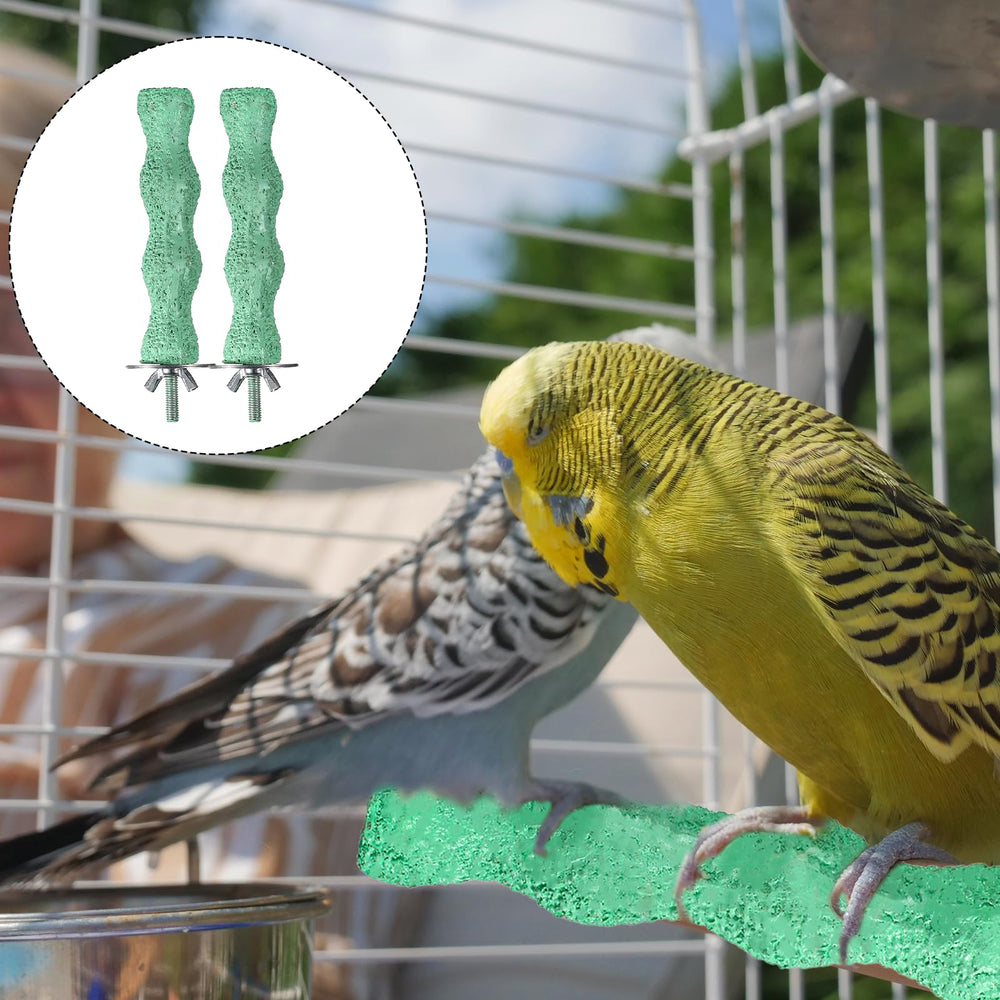 Xelsluthe diseño vibrante para aves, reduce estrés y favorece la interacción