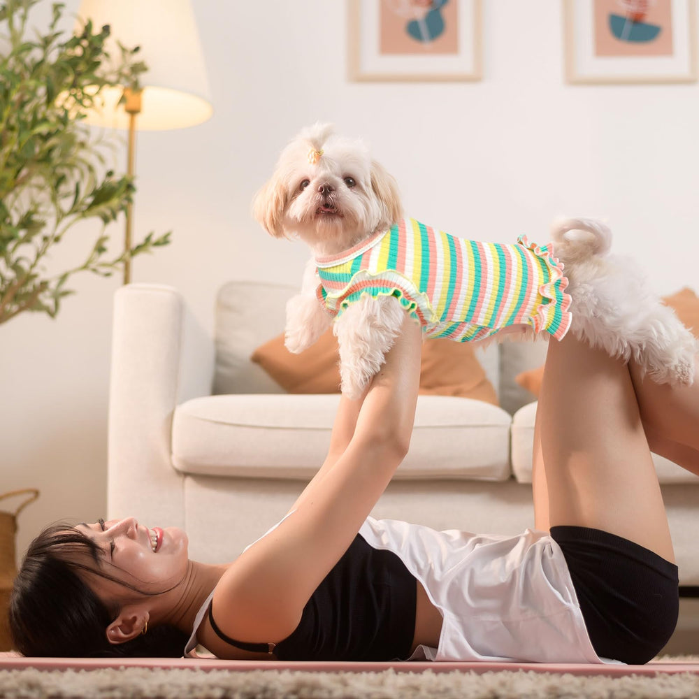 XGDMEIL outfit diario para mascotas, perfecto para paseos y fotos