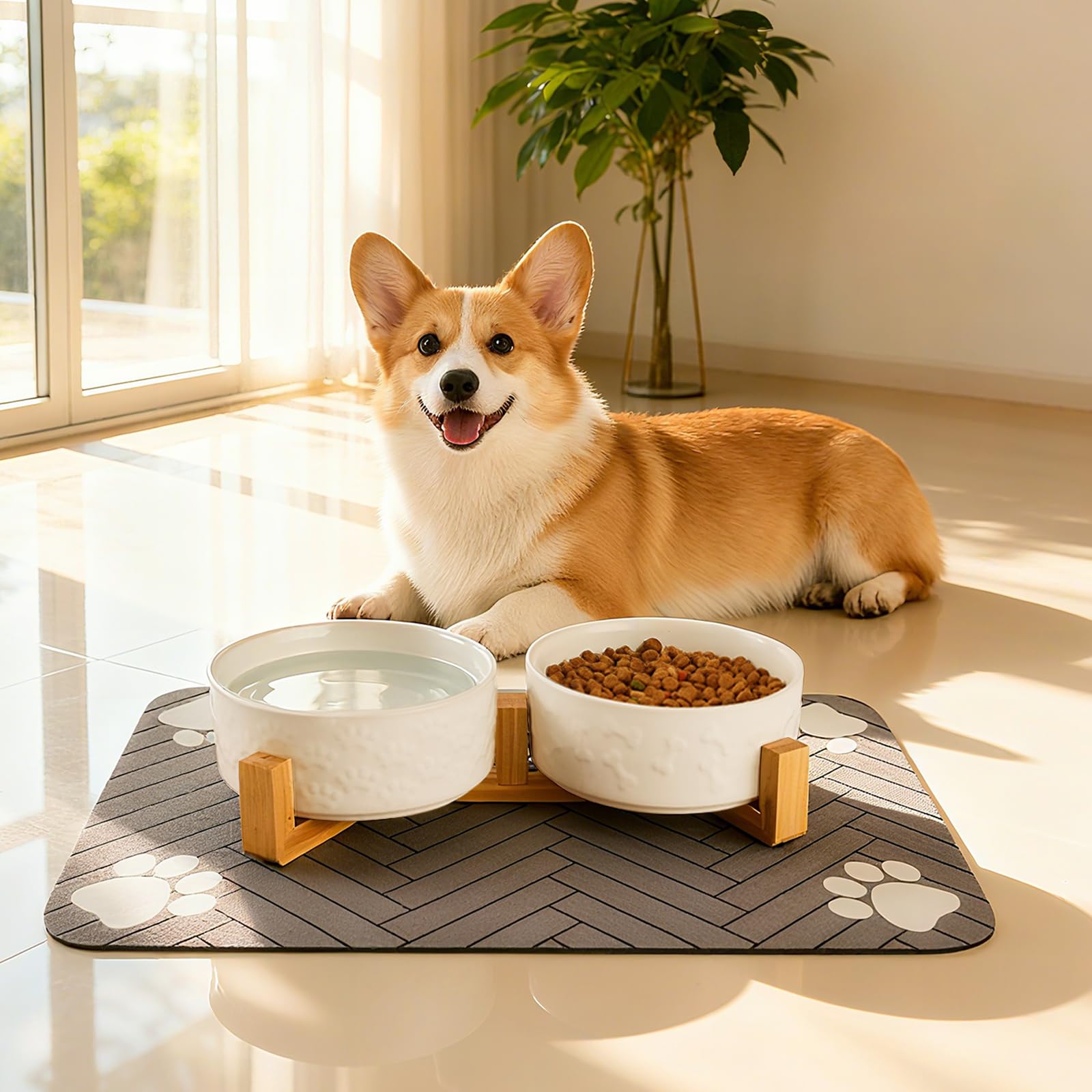 Xihan estación de alimentación elevada ideal para perros medianos