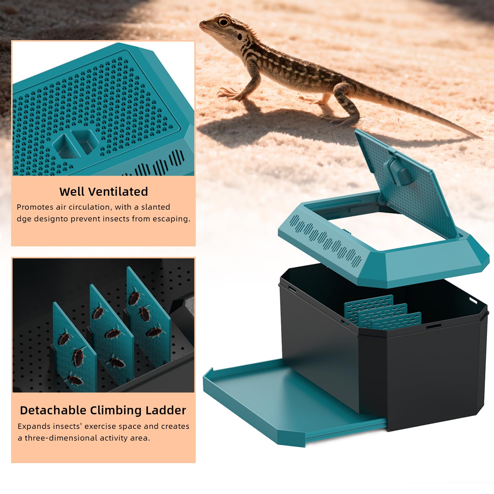 XIGETRAIL hábitat para gusanos de pan en entorno oscuro y cómodo.