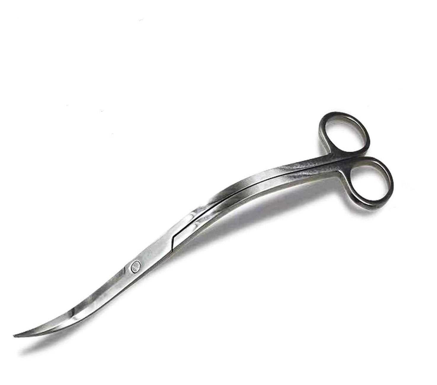 Tijeras XILEWHZF para acuario con curvatura y punta afilada, poda precisa.