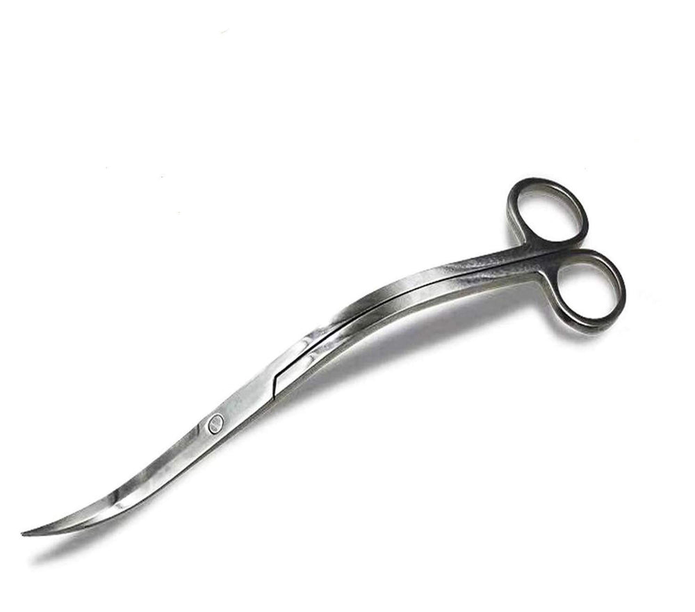 Tijeras XILEWHZF para acuario con curvatura y punta afilada, poda precisa.