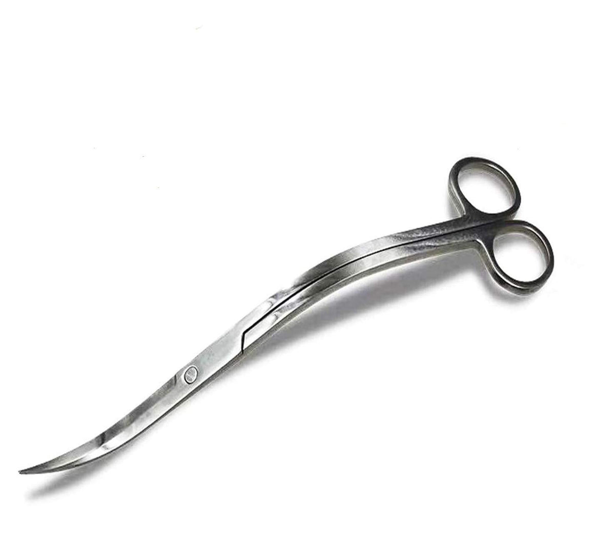 Tijeras XILEWHZF para acuario con curvatura y punta afilada, poda precisa.