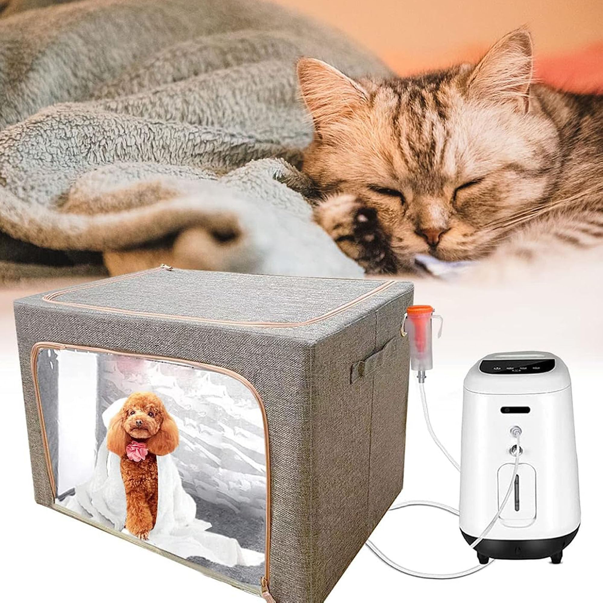 XingRuiTai panel de visualización claro para vigilar al perro sin abrir.