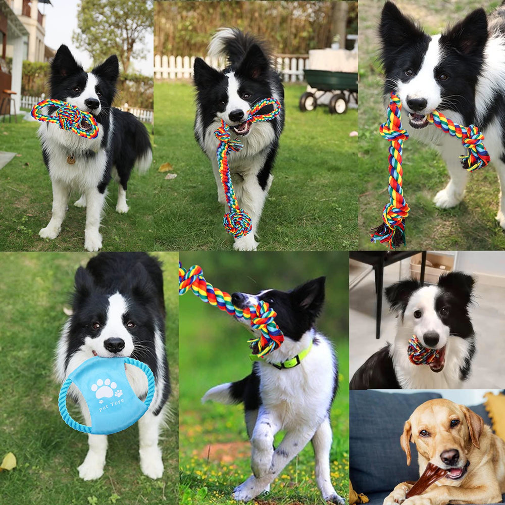 Juego interactivo XLMYS para perros, fomenta la estimulación mental durante el juego.