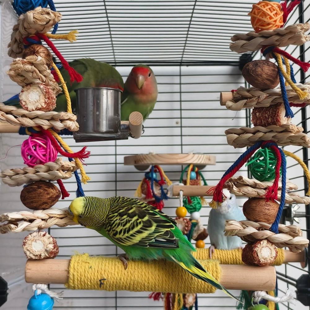 Columpio-percha de madera XLpeixin para aves, ejercicio suave diario.