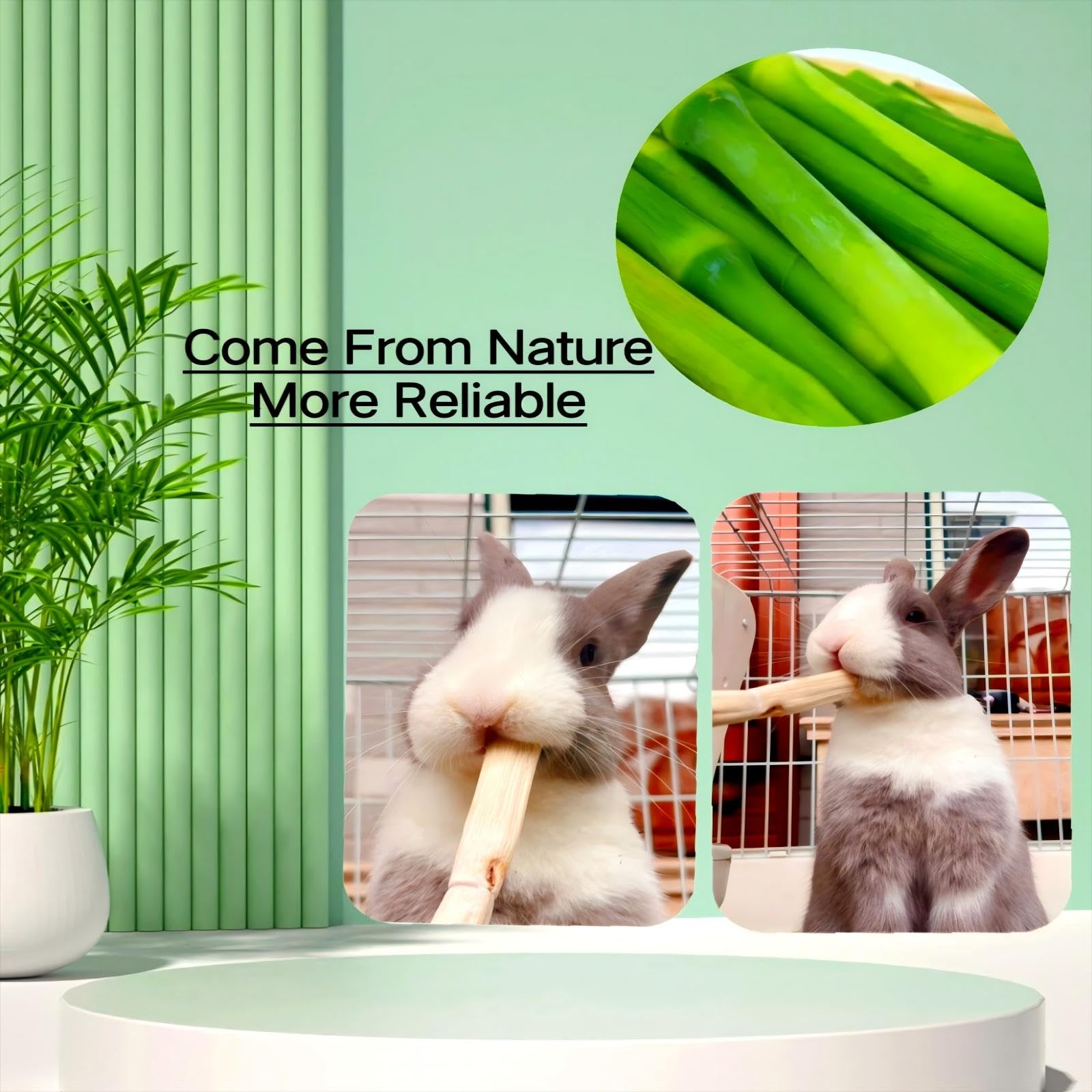 XLpeixin bambú natural cuidadosamente seleccionado y secado para mayor durabilidad.