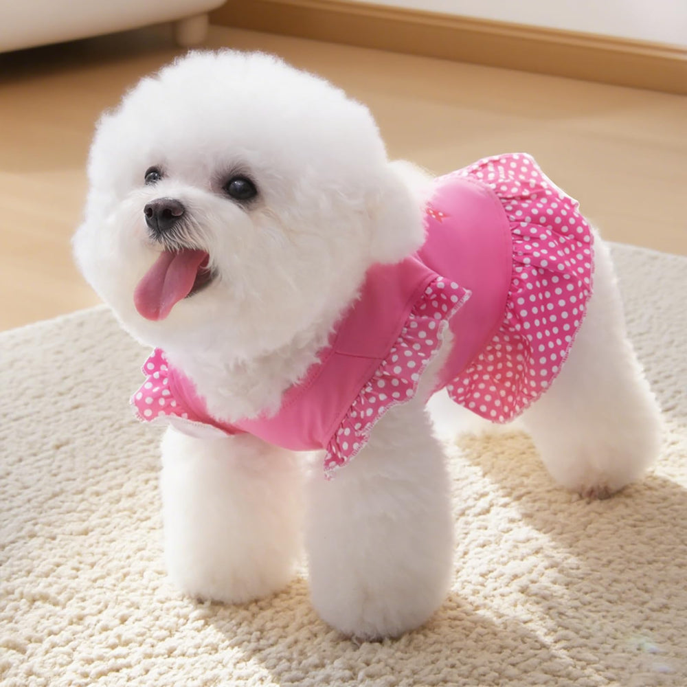 XPUDAC ropa para gato pequeño rosa angel, detalle cómodo y transpirable.