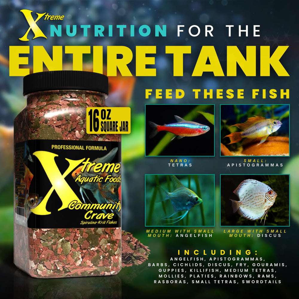 Xtreme Aquatic Foods Peces Coloridos Brillantes: mejora la apariencia visual de tus peces.