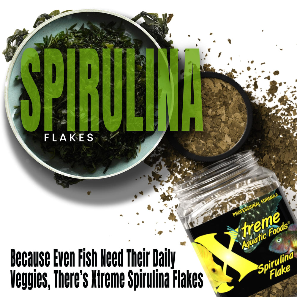 Digestibilidad mejorada por proteínas marinas fáciles de digerir con Xtreme Spirulina Flakes