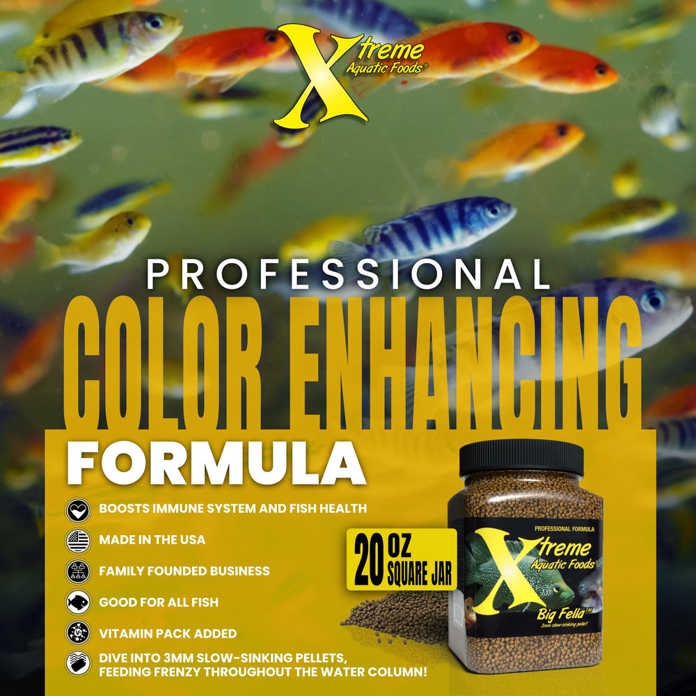 Xtreme Big Fella: digestibilidad alta con baja producción de residuos
