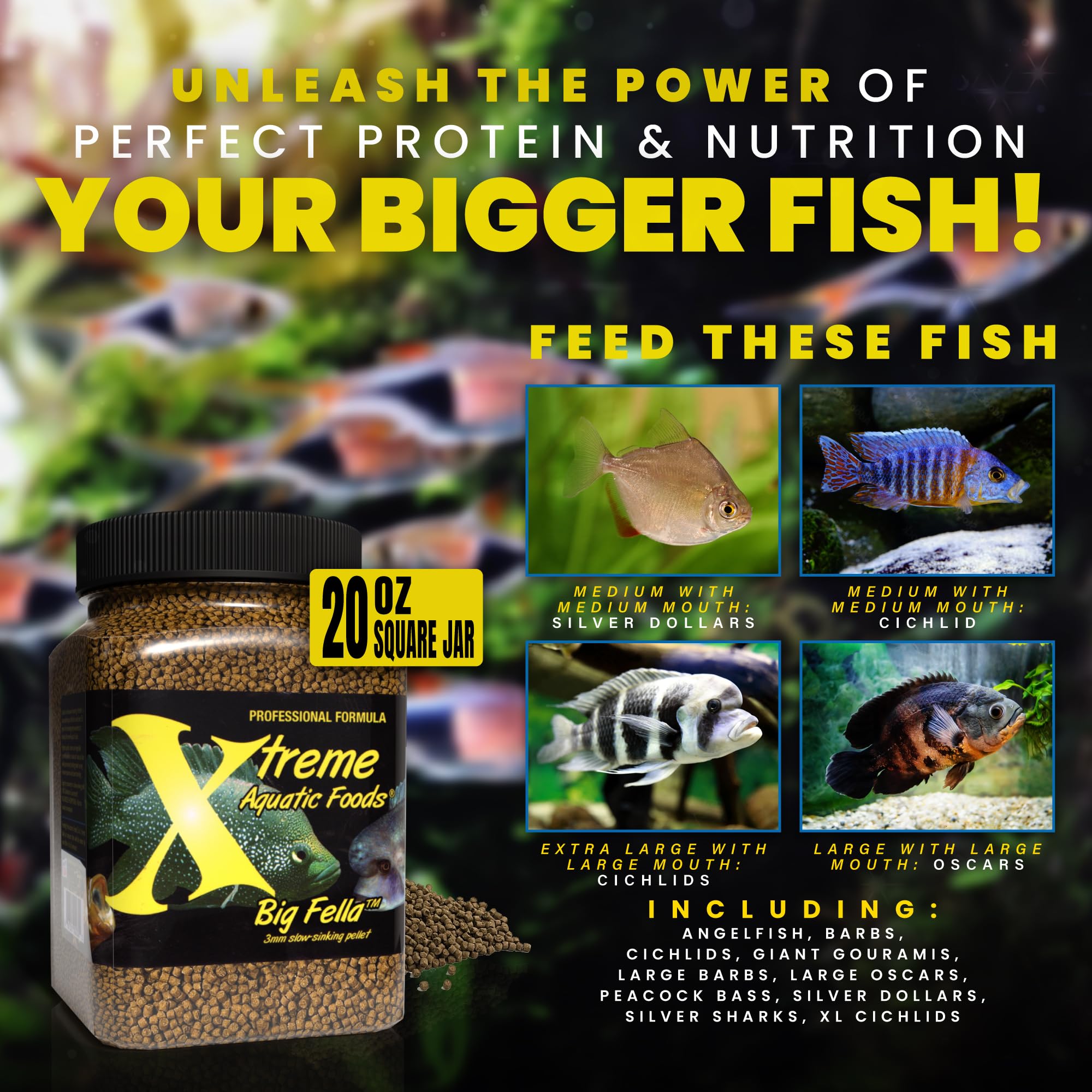 Xtreme Big Fella: peces medianos consumen granulos en acuario comunitario