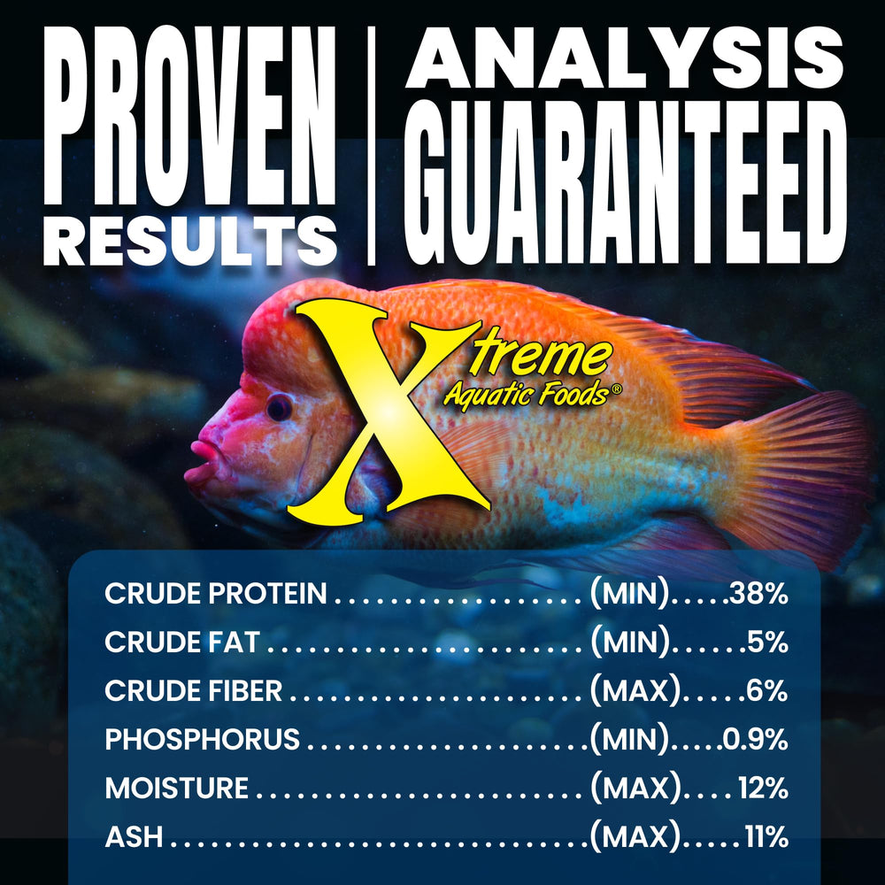Xtreme Big Fella: uso recomendado en peces de comunidad