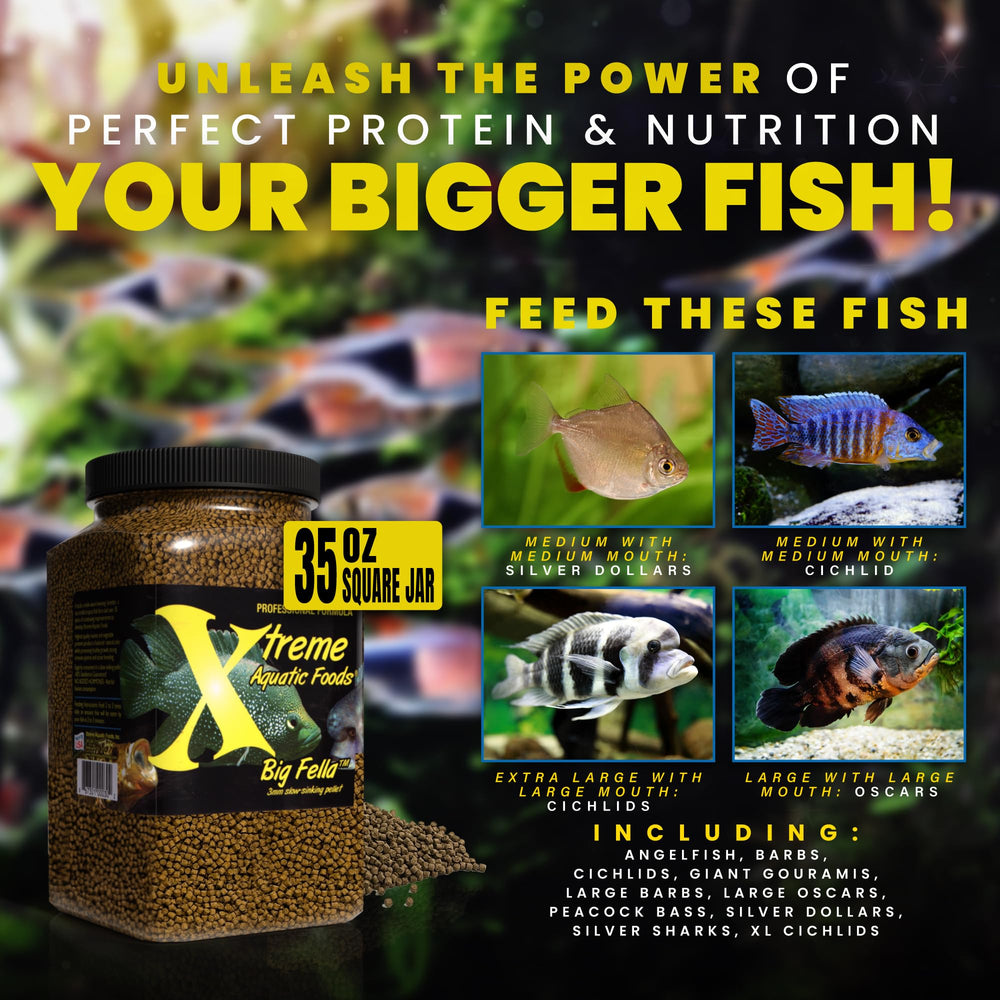 Xtreme Big Fella promueve salud y crecimiento con digestibilidad eficiente.