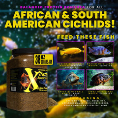 Xtreme Cichlid PeeWee Pellets muestran mejora de coloración de los peces