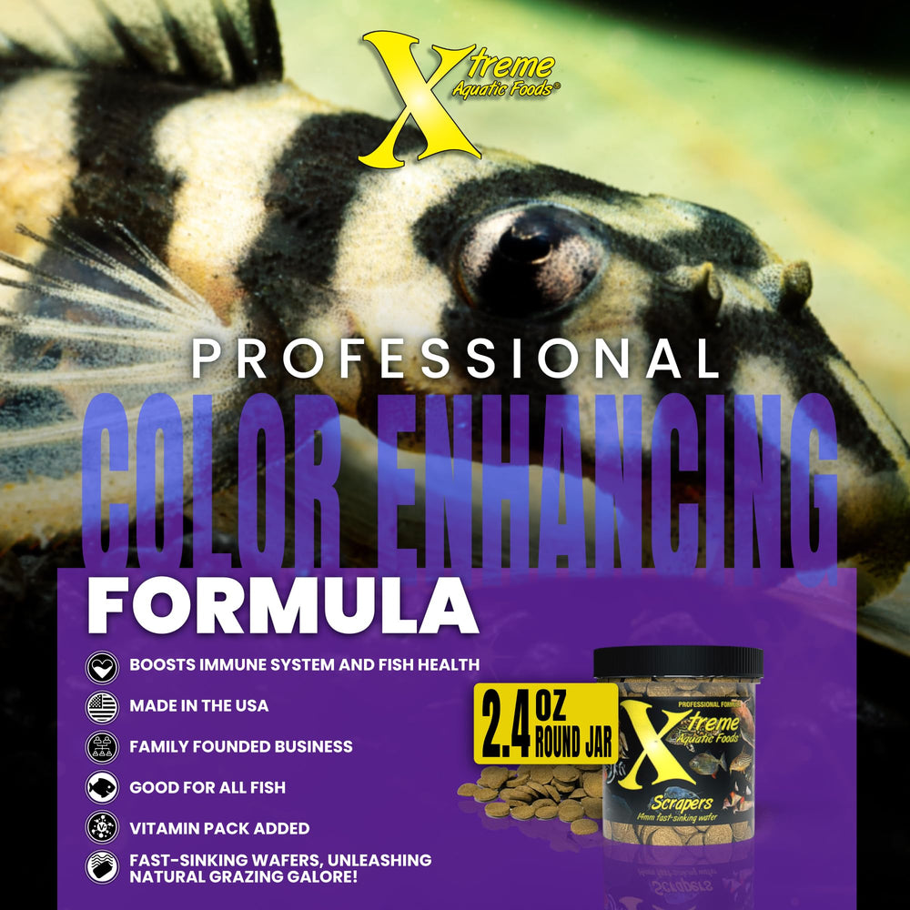Xtreme Scrapers Wafers: bagres y plecos se benefician de una dieta balanceada.