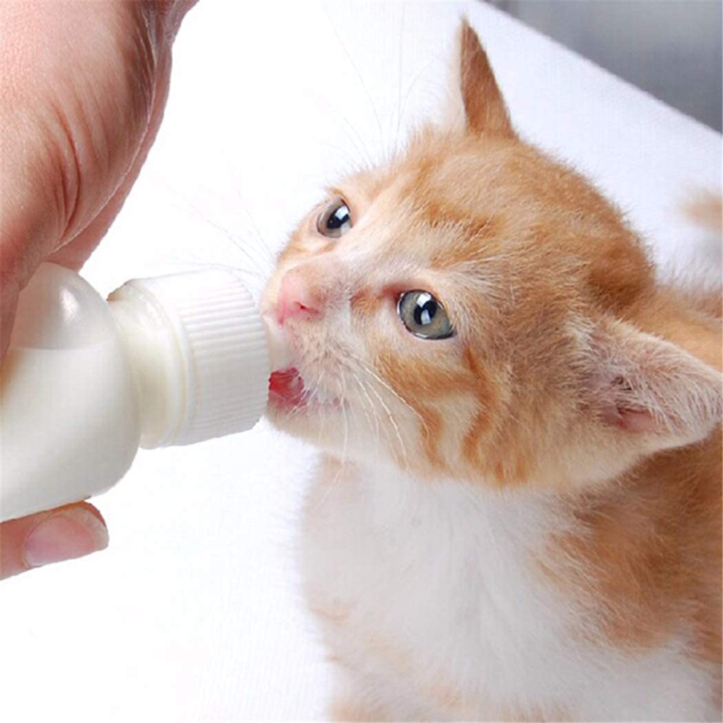 Xuanda pezones silicona medianos, diseño veterinario para una toma natural.
