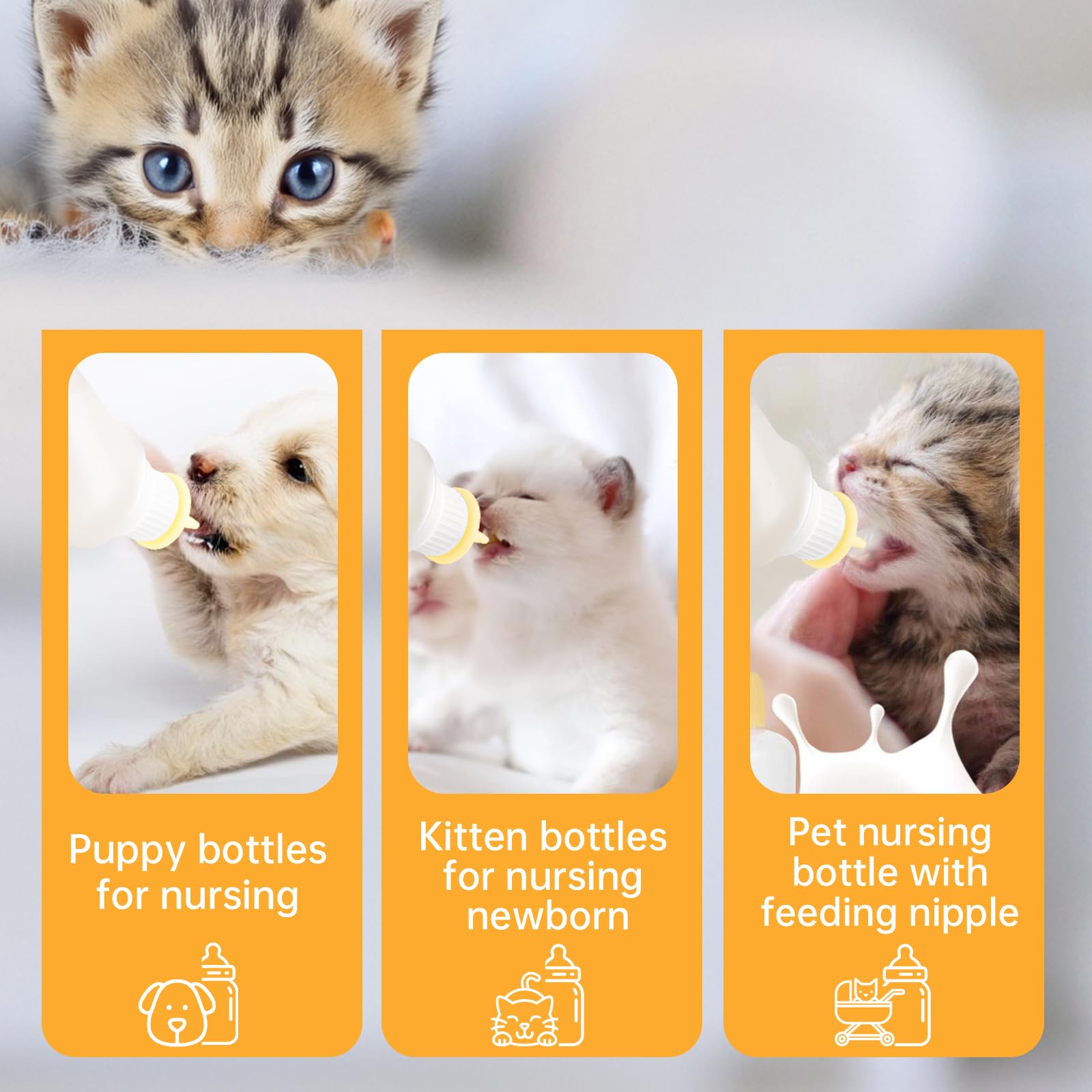 Biberón Xuandea con vaso medidor para controlar la ingesta de gatitos y cachorros.