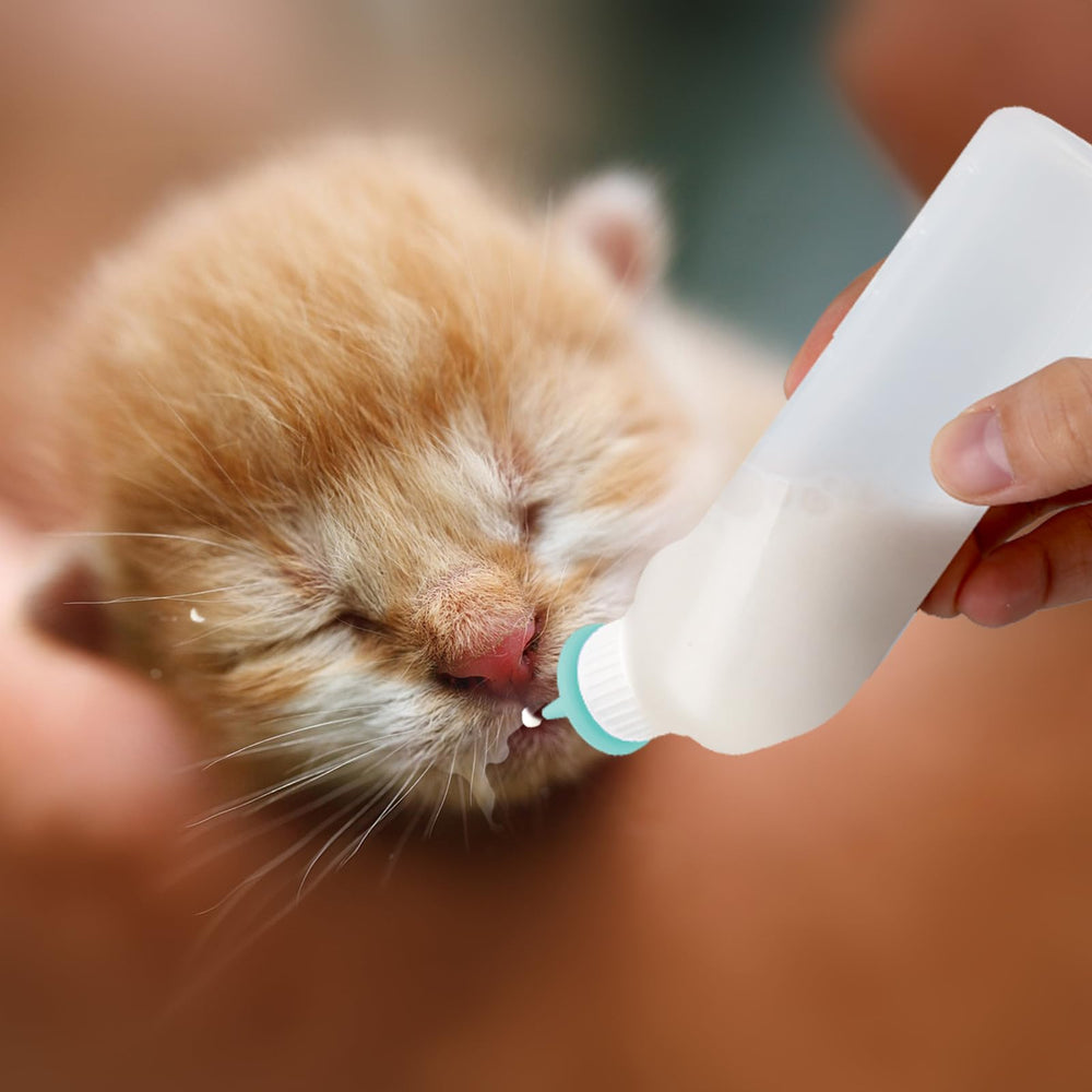 Xuandea Kit Alimentación Mascotas: ideal para gatitos y cachorros.