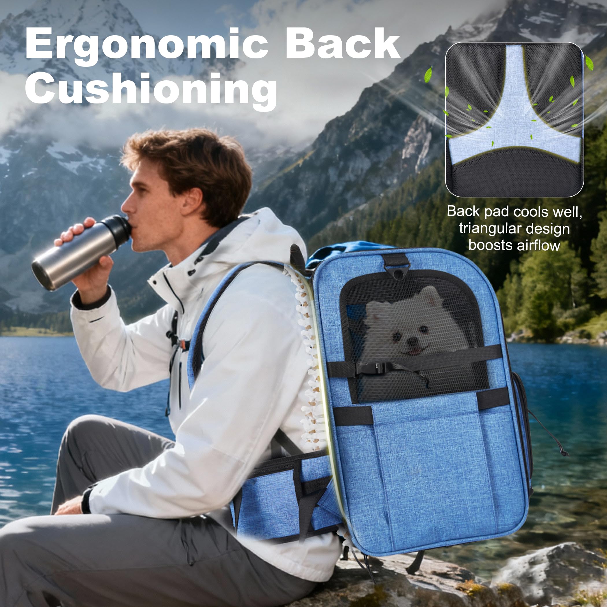 Mochila XUVIRA portaperros azul paneles de malla para flujo de aire.