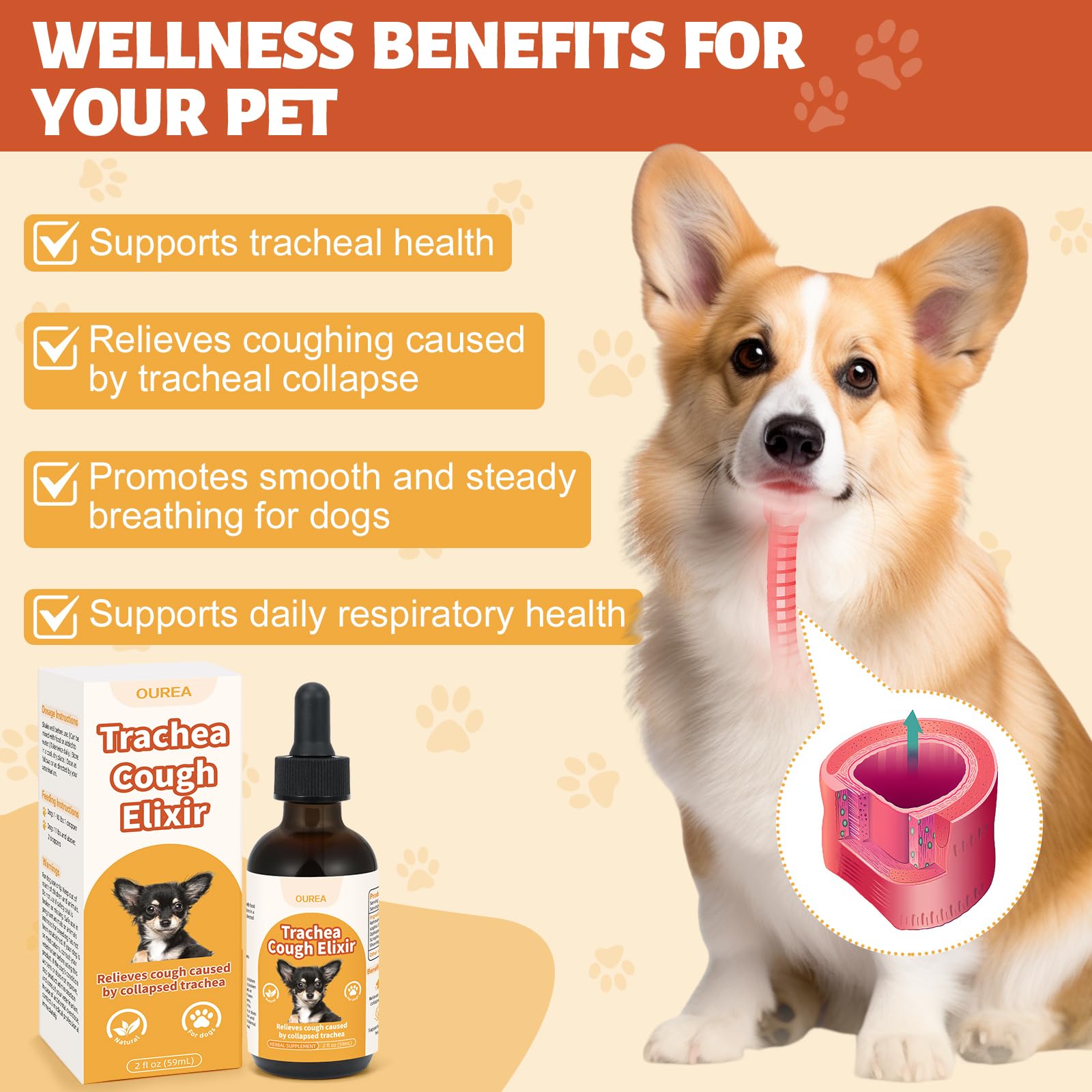 Ingredientes naturales Yakucho para tráquea – fomenta bienestar respiratorio de forma suave.