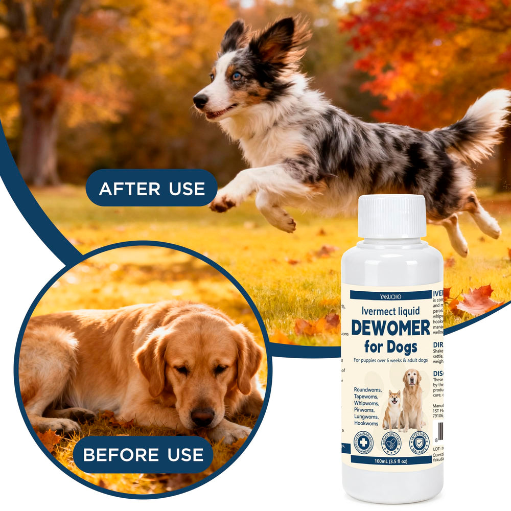 Yakucho Lvermect ayuda a mantener el equilibrio digestivo en perros.