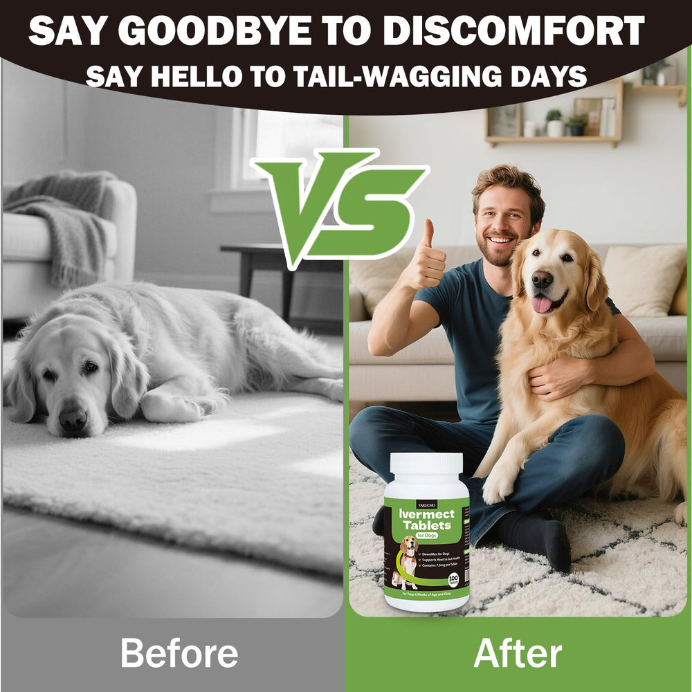 Yakucho lvermect, fórmula purificada para una experiencia digestiva suave.