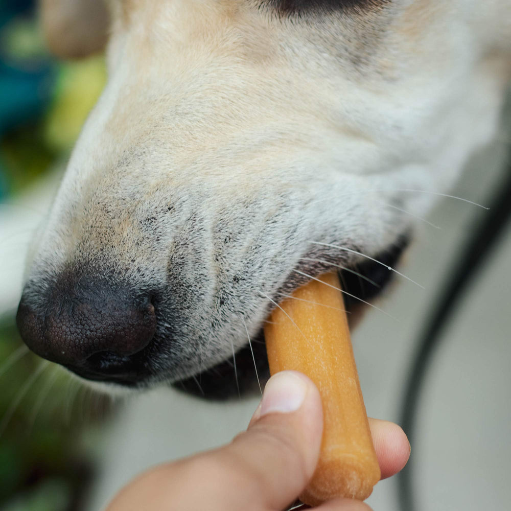Yaky Churro envase sellado para frescura y sabor constante.