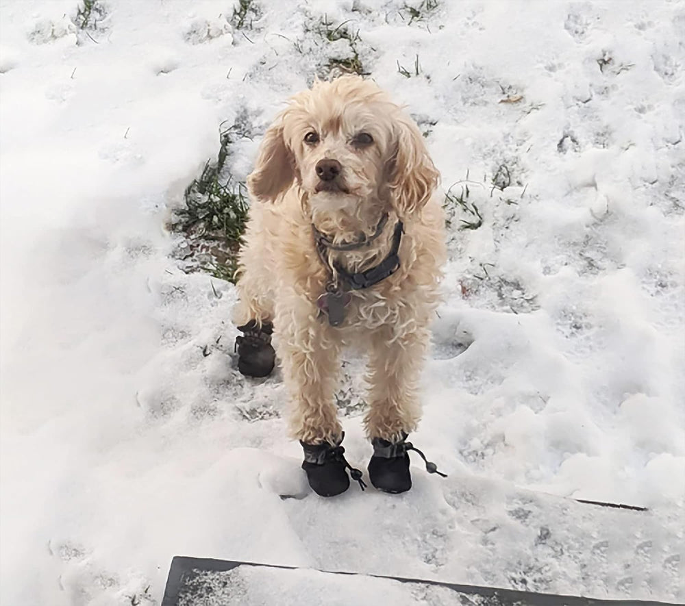 YAODHAOD protección de patas en climas fríos y nieve.