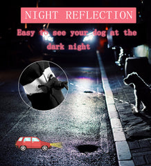 YAODHAOD zapato para perro con bandas reflectantes para visibilidad nocturna