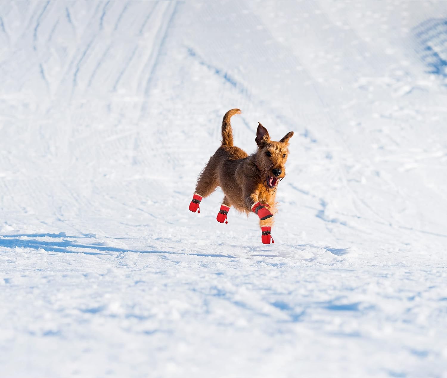 YAODHAOD zapatos para perro invierno con suela antideslizante para estabilidad