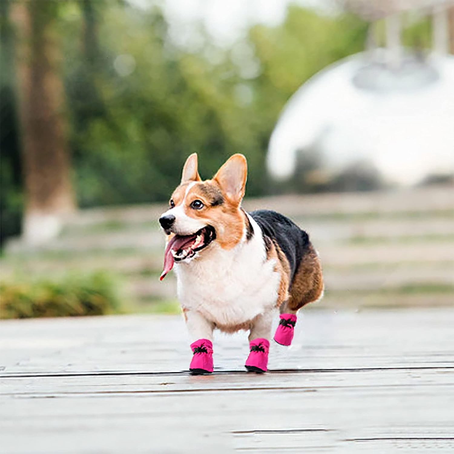 YAODHAOD Zapatos para perros pequeños, banda reflectante 360 para seguridad nocturna.