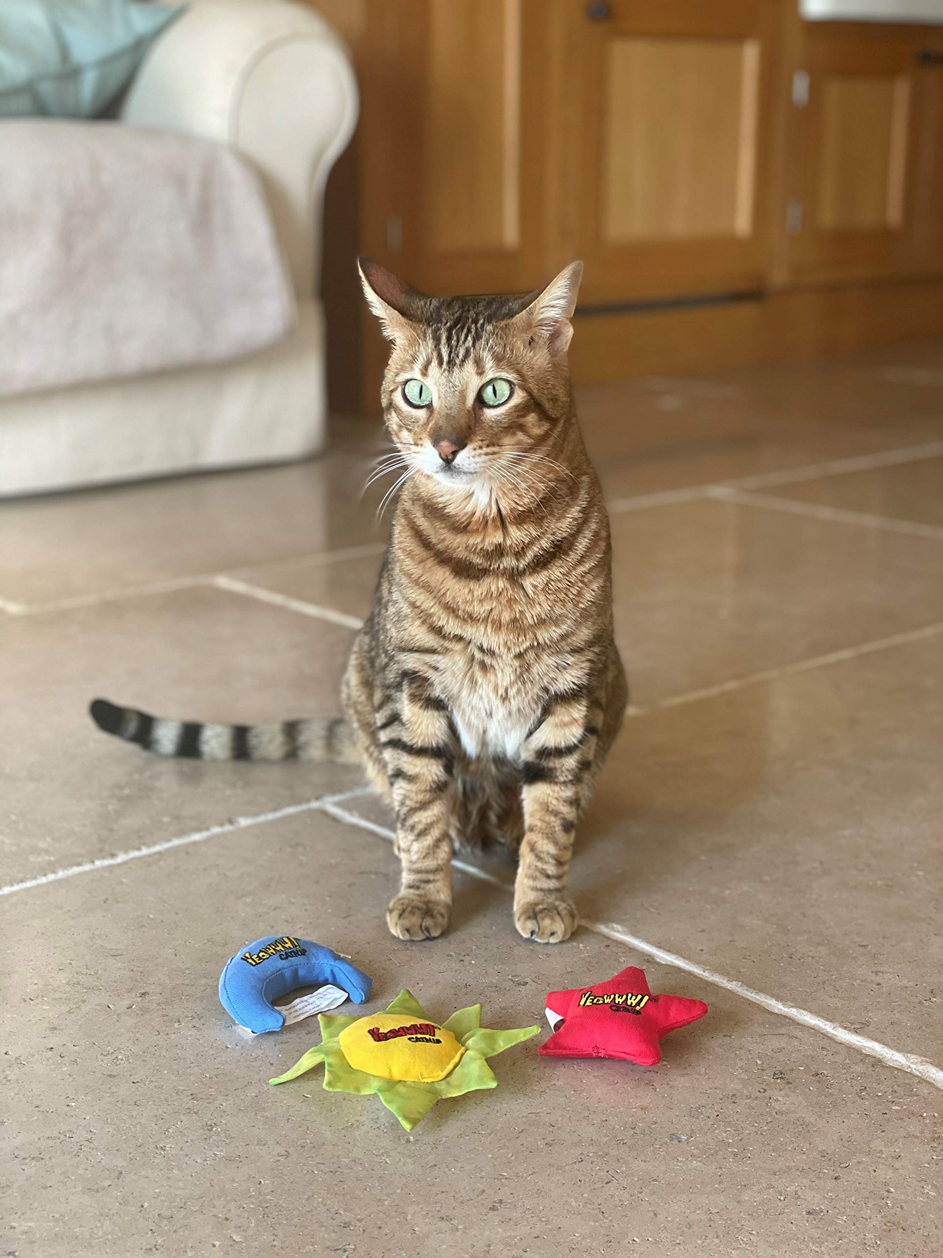 Yeowww! Estrella crujiente promueve juego interactivo y desarrollo físico