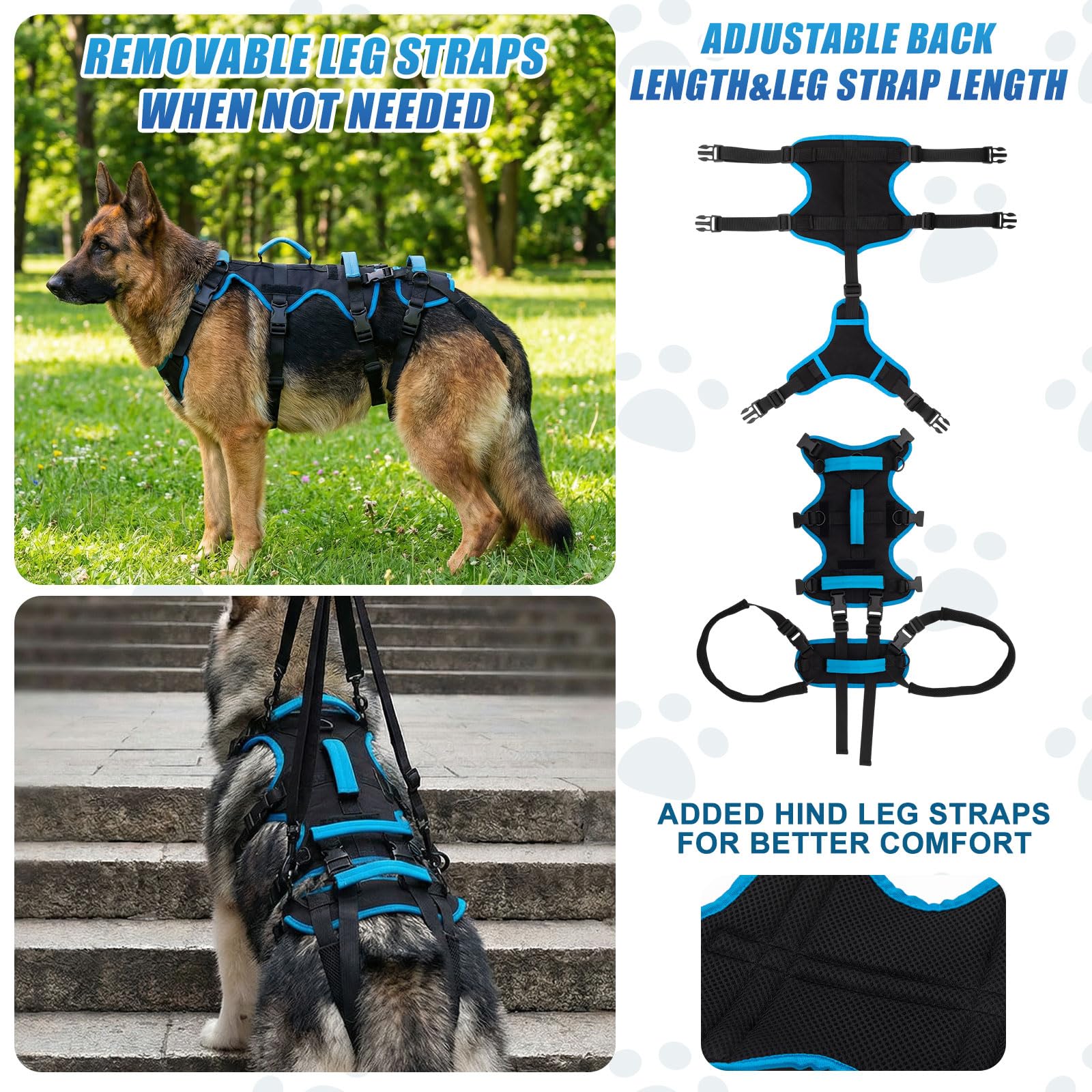 Arnés Yeyeplum diseño no interferente para micción de perros machos.