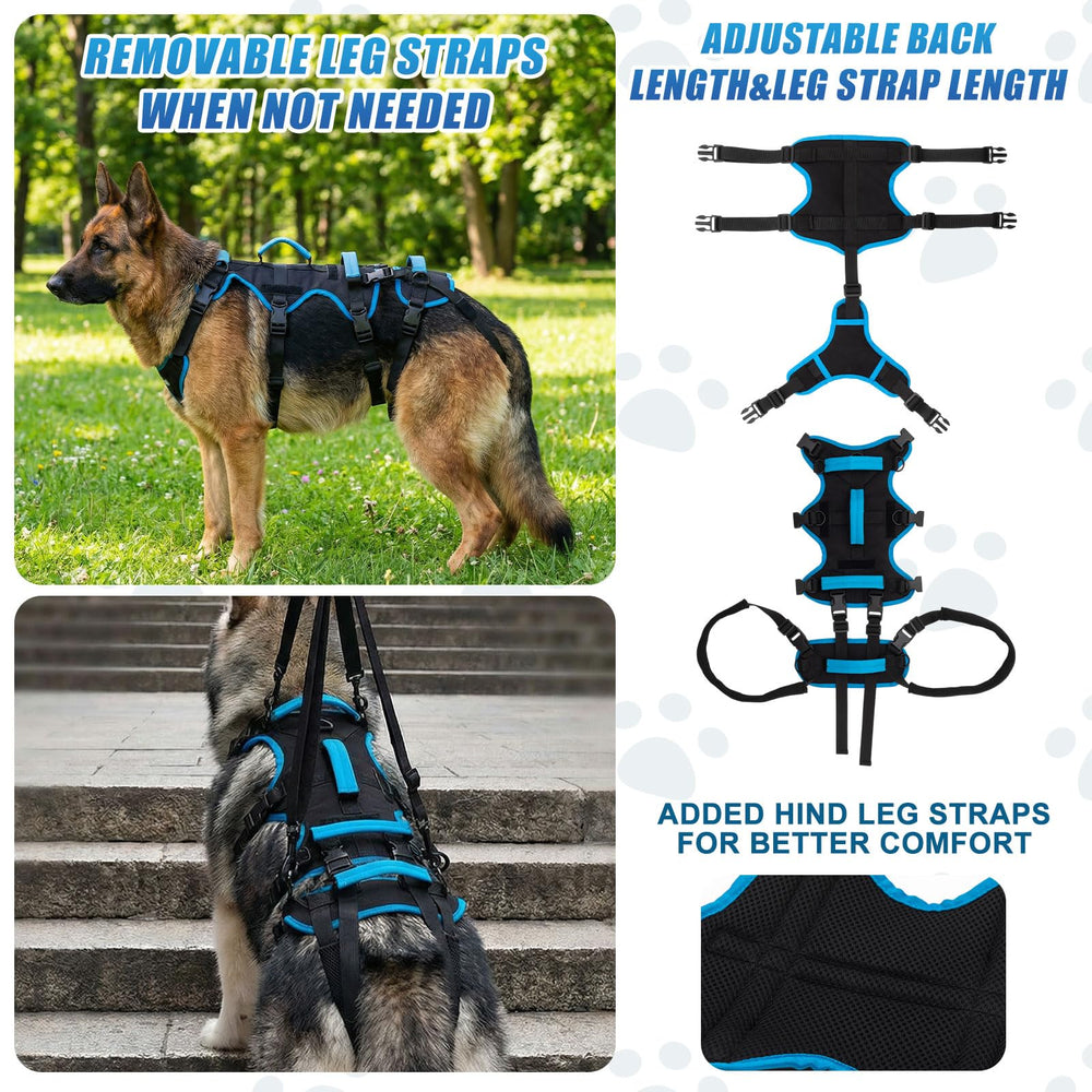 Arnés Yeyeplum diseño no interferente para micción de perros machos.