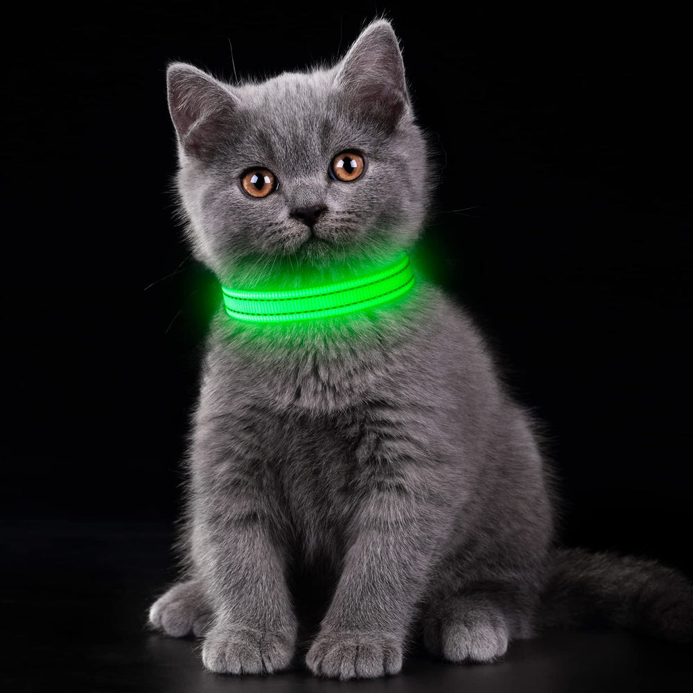 Hebilla ajustable del collar LED YFbrite para un ajuste seguro