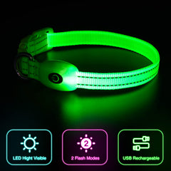 Anilla en D robusta para la correa en el collar LED YFbrite