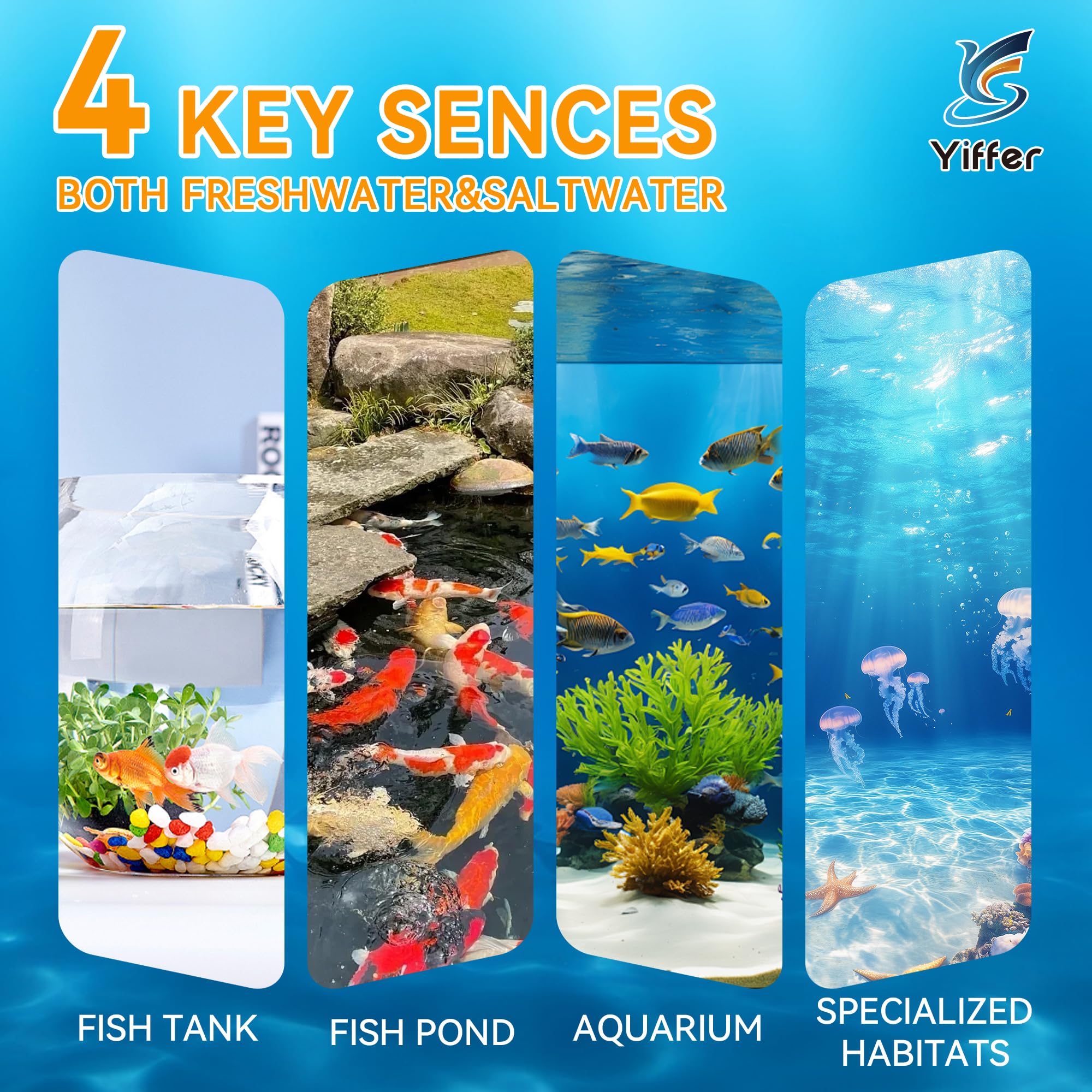 Yiffer: tiras nitrato para seguimiento de nutrientes en acuario.