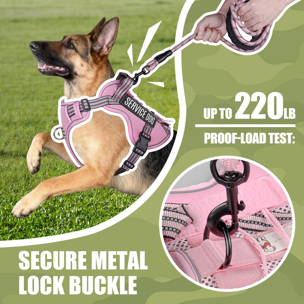 Correa táctica Yimeis para perro mediano, ideal para paseos seguros y control.