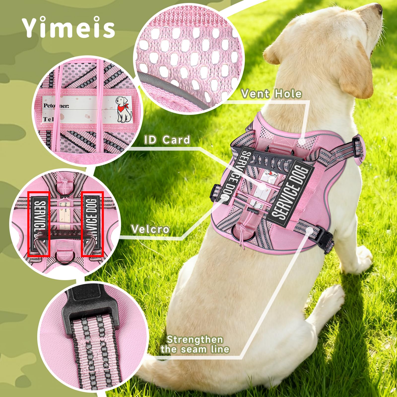 Kit completo para perro de apoyo emocional, listo para entrenamientos.